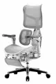 Кресло компьютерное с подножкой FALTO SCALA (разделенный поясничный упор, сетка, белый)