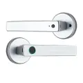 Luxuglow Smart door handle lock, Silver