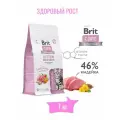 Brit Premium CARE CAT KITTEN HEALTHY GROWTH с индейкой 7 кг