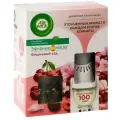 Airwick Диффузор аромамасел AirWick в комплекте, со сменным флаконом «Цветущая вишня», 19 мл