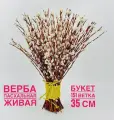 Верба пасхальная живая краснотал. Букет из вербы па Пасху, Вербное Воскресение