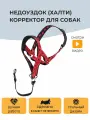 Недоуздок (Халти) №4 корректор для собак CHOKERZ. Обхват морды 24-36 см, шеи - 50-63 см