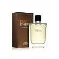 Hermes Terre D'Hermes pour homme 100 мл Туалетная вода оригинал