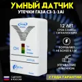 Система автоматического контроля загазованности САКЗ-МК-1-1Аi (природный газ) без клапана с госповеркой