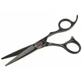 Ножницы для стрижки Skull Black 5.5 с титановым покрытием
