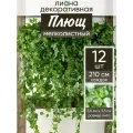 Искусственное растение Лиана Плющ лоза зелень для декора 12 лиан