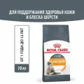 Сухой корм Royal Canin Hair & Skin Care для поддержания здоровья кожи и шерсти кошек Птица, 10 кг.