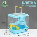 Клетка для грызунов «Пижон», 27×21×27 см, пластик, металл, голубая