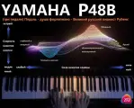 Цифровое пианино Yamaha P-45B цифровое пианино, одна педаль, адаптер питания , нотный стенд