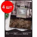 Комплект 4 шт, Фотоальбом BRAUBERG на 200 фотографий 10х15 см, твердая обложка, Путешествие, бокс, коричневый, 390672