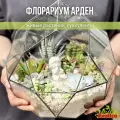 Флорариум Арден с суккулентами