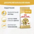 Сухой корм для кошек Royal Canin Adult для бенгальской породы, 0,4 кг
