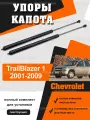 Упоры капота для Chevrolet TrailBlazer (I), 2001-2009 / Газовые амортизаторы капота Шевроле Треил Блейзер