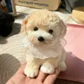 Таба сквиш Собачка, тянучка игрушка-антистресс в красивой подарочной коробке.