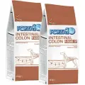 FORZA10 DOG INTESTINAL COLON FASE 2 ACTIVE для взрослых собак всех пород для профилактики колитов и заболеваний желудочно-кишечного тракта (10 + 10 кг)