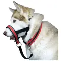 Недоуздок для собак White Wolf (корректор поведения, халти) Спорт Красный