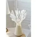 Лагурус сухоцветы для декора