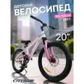 Велосипед двухколёсный CITYRIDE, рама сталь, колеса 20, дисковые тормоза, CR-B2-12BD20WP