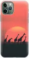 Силиконовый чехол на Apple iPhone 11 Pro / Эпл Айфон 11 Про с рисунком Жирафы