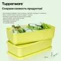 Контейнер Кубикс прямоугольный 1.4л, салатовый 2 шт Tupperware