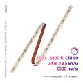 Светодиодная лента OSRAM LF2000TW-G3-82765-04, Изменяемый белый свет, длина 4,5 м, 2700-6500 К, 24 В, IP00, 160 LED/m