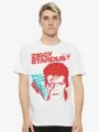 Футболка Dream Shirts Дэвид Боуи / Зигги Стардаст/ Мужская, размер 2XL, белый