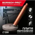 Плита BORISOV-PRO абразивная, круглая, диаметром 200мм