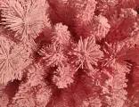 Искусственная ель тэдди (хвоя - PVC), флокированная, розовая, 180 см, A Perfect Christmas