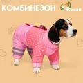 Комбинезон для собак Горошек, размер 14 (ДС 27, ОГ 38, ОШ 30 см), розовый