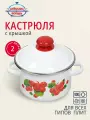 Кастрюля эмалированная сталь, 2 л, с крышкой, крышка сталь, Сибирские товары, Калина красная, 1MD161M, индукция