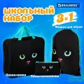 Школьный набор Brauberg: папка на молнии с ручками А4, мешок для обуви 42х33 см, пенал 20х10 см, Black cat, 271434