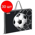 Комплект 30 шт, Папка для труда на молнии с ручками пифагор А4, 1 отделение, пластик, органайзер, Ball kick, 272229