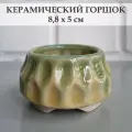 Керамический горшок для суккулентов и кактусов / Керамический горшок для цветов. Зеленый/желтый