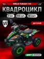 Комплект квадроцикла WELS TUKAH 110 см³, 8 л. с, центробеж. сцепление F-N-R, Зеленый