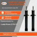 Комплект задних масляных амортизаторов для Лада Приора 2170 / 2171 / 2172 бмк-авто