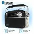Sven АС Srp-505, черный (3 Вт, Bluetooth, Fm/am/sw, Usb, microSD, Aux, встроенный аккумулятор) SV-02 .