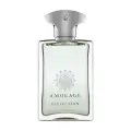 Amouage Reflection for man парфюмерная вода 100мл