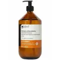 INSIGHT Шампунь для восстановления и защиты волос ANTIOXIDANT, профессиональный уход, 900 мл