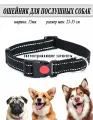 Ошейник для собак, черный, светоотражающий 15мм (25-35см)，Регулируемая нейлоновая веревка