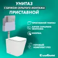 Унитаз приставной с бачком скрытого монтажа EvaGold набор ND803.7 безободковый, с кнопкой смыва овал хром матовый