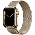 Умные часы Apple Watch Series 7 41 мм Steel Case GPS + Cellular, золотистый