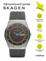 Наручные часы SKAGEN Mesh, черный