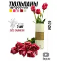 Тюльпаны попугайные силиконовые (5 шт) - 40 см