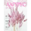 Сухоцвет Лагурус розовый для декора, букет Зайцехвост, Stabflora