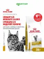 Сухой корм для кошек Royal Canin Urinary S/O Moderate Calorie ветеринарный, при мочекаменной болезни, 350 г