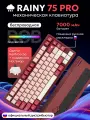 Беспроводная механическая клавиатура Rainy 75 PRO для компьютера с подсветкой RGB, проводная игровая клава 75%