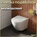 Унитаз подвесной безободковый с быстросъемным сиденьем микролифт Teymi Lina S T40102