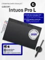 Графический планшет для рисования Wacom Intuos Pro L черный (PTK870K0B)