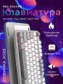 Игровая клавиатура Alumix TKL Gray Matter RSQ-20048
