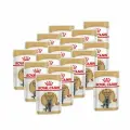 Royal Canin British Shorthair Adult влажный корм для взрослых британских короткошерстных кошек в соусе, в паучах - 85 г х 16 шт.